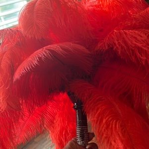 Two sets of red feathers for party are wedding